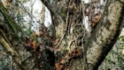 IMG_20201114_131959