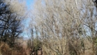 IMG_20211230_125113