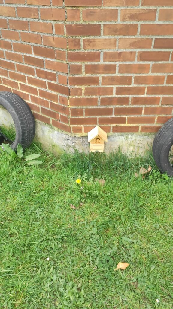 c07bfb4c-ac8b-473d-bd79-269edd6e3d55